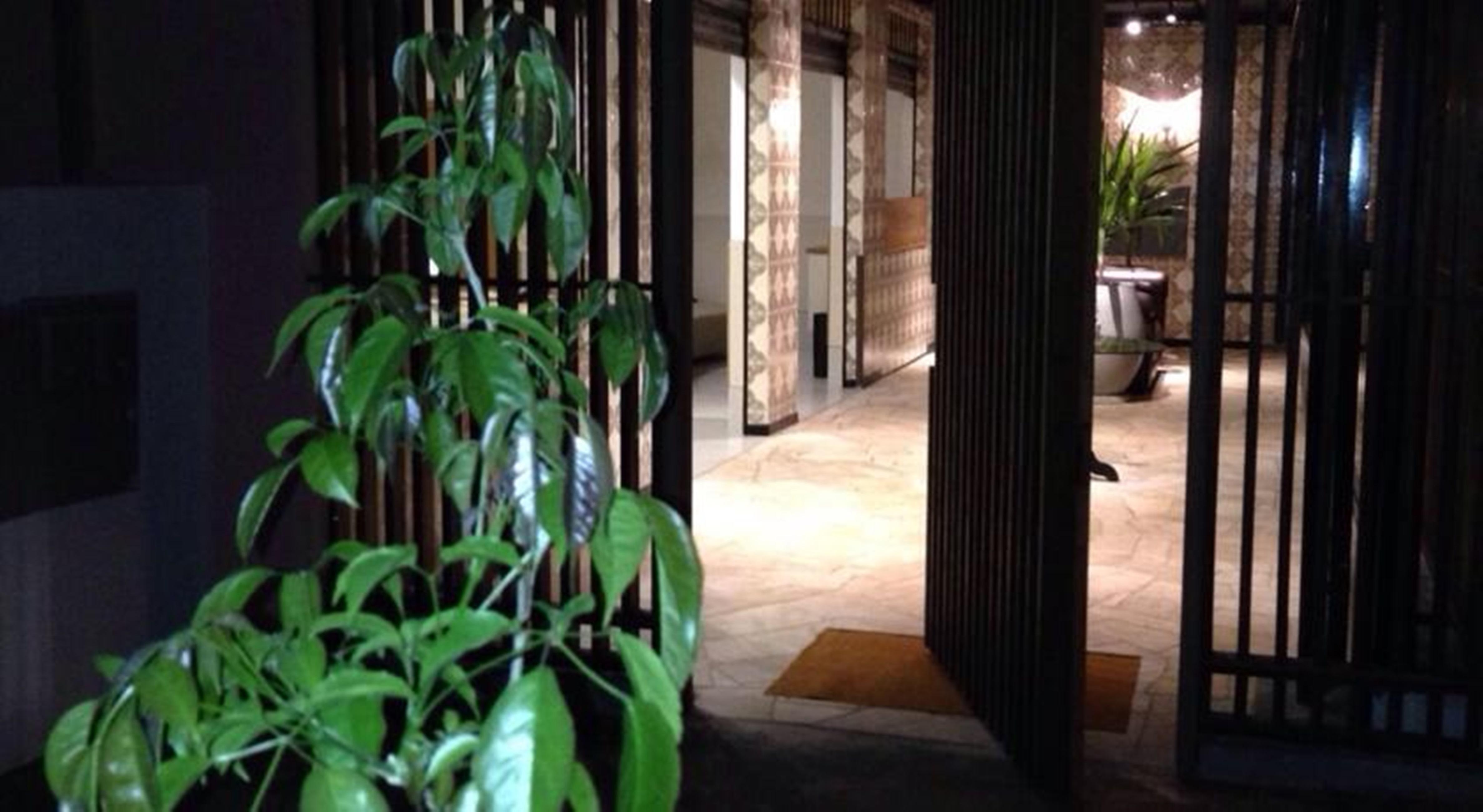 Vespasiano Hotel Telêmaco Borba Buitenkant foto